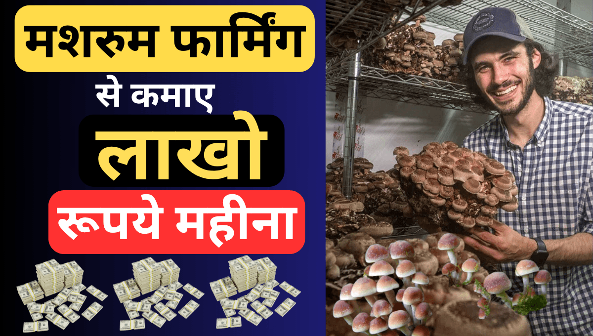 मशरुम फार्मिंग से कमाए लाखो रूपये महीना